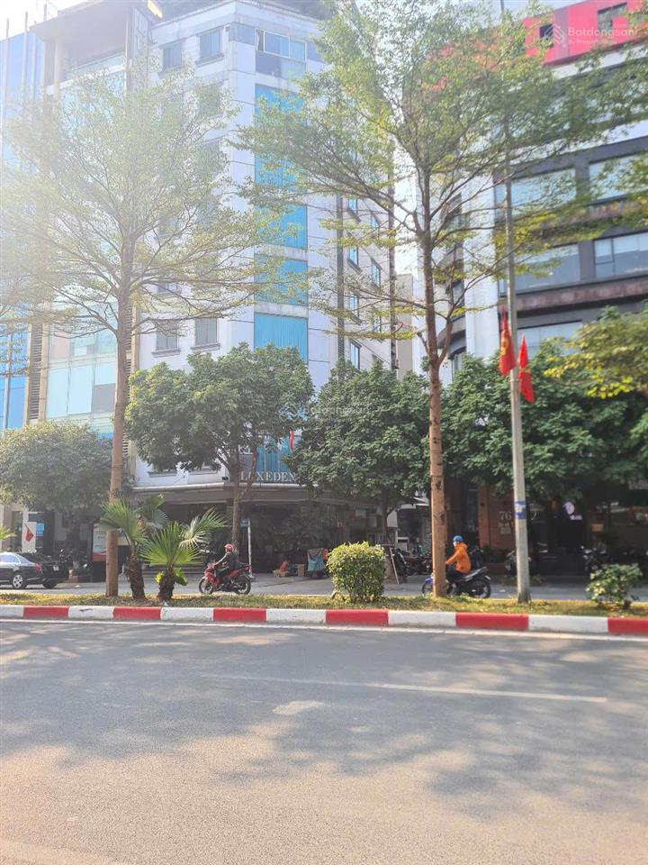 Bán nhà 7 tầng thang máy phân lô trần thái tông  cầu giấy 125m2 hơn 50 tỷ