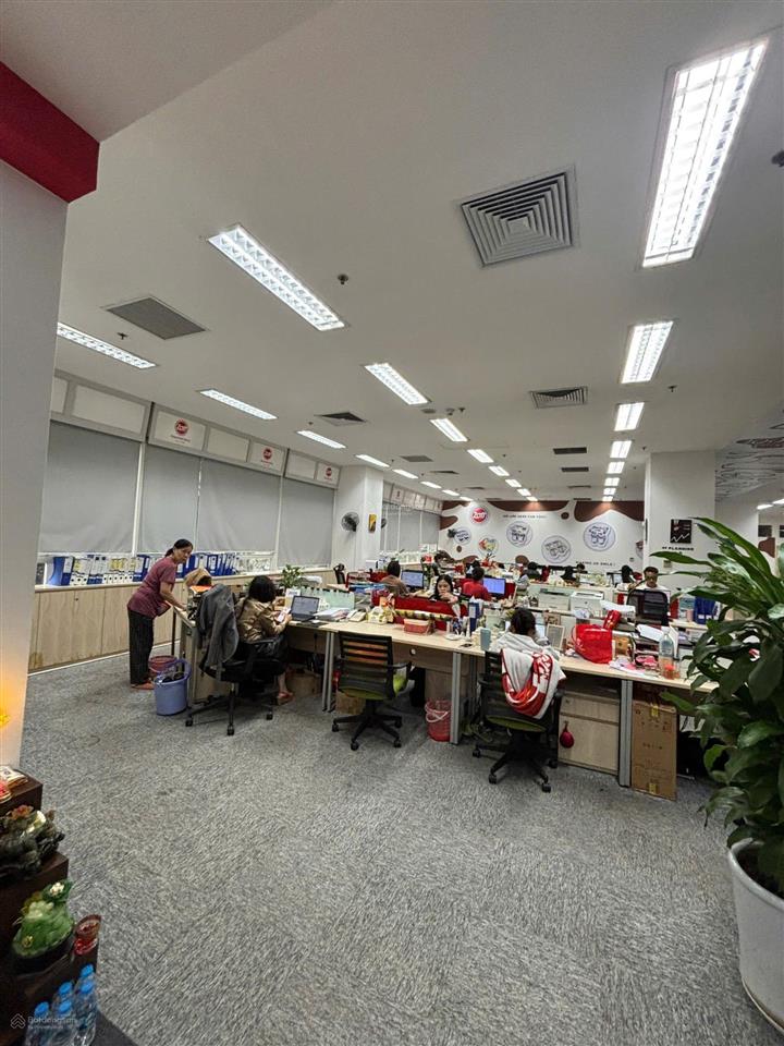 Toà nhà văn phòng nhân chính, 82m2 7t nổi 1t hầm, thông sàn, vỉa hè, ô tô, doanh thu 1 năm 1.5tỷ