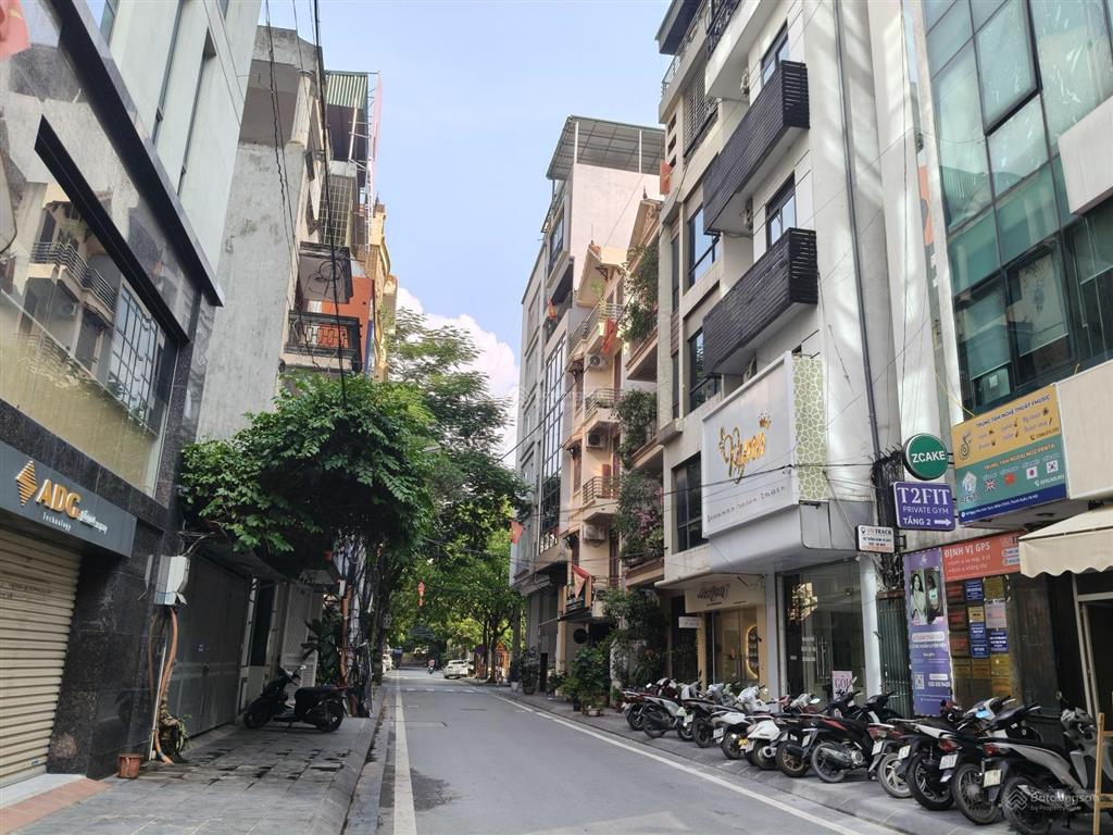 Bán nhà 43m2, nguyễn thị định, cầu giấy, 5t mới, view thoáng, kinh doanh tốt, ở sướng, ô tô ra vào