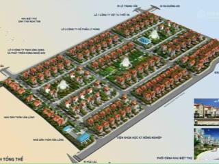Chính chủ gửi bán song lập 228m2 trục chính khu đô thị mới hoa phượng giá 126tr/m2.