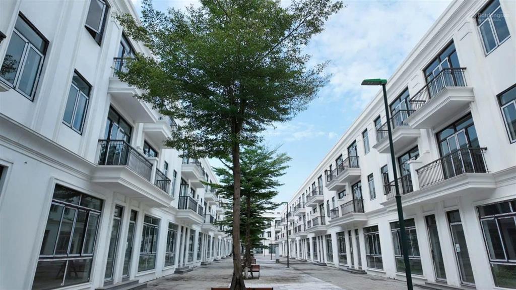 Cần tiền bán gấp 14,x tỷ biệt thự hud me linh central