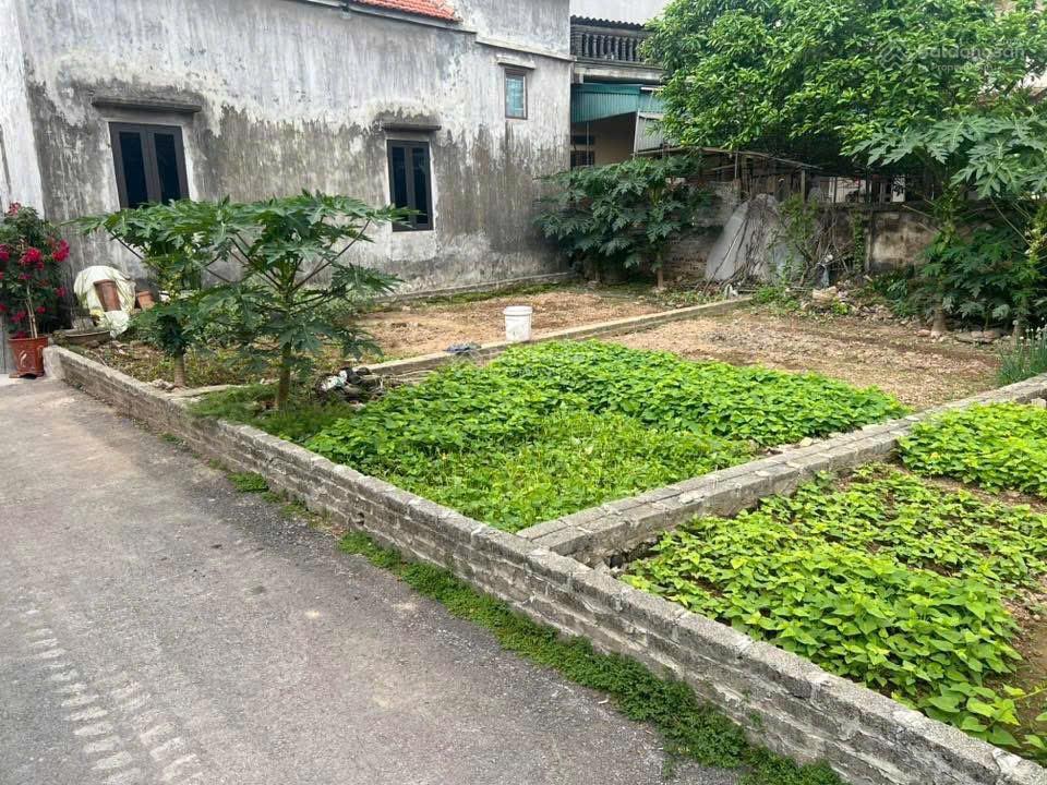 Chủ gửi bán lô đất 40m chợ bóng, phượng dực, hà nội, ngõ ô tô mặt tiền 4m, sổ đỏ  0969 438 ***