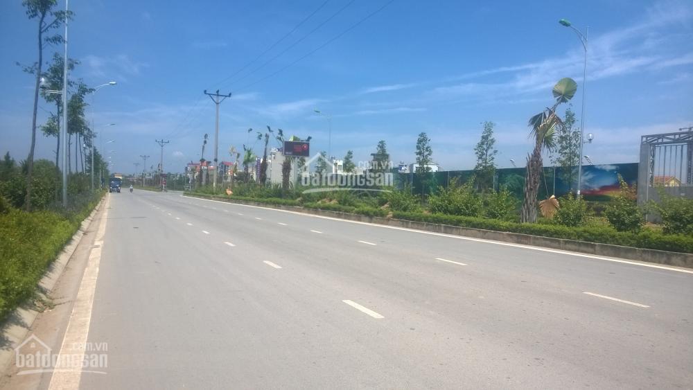 Bán 50m2 đất dịch vụ thôn an hạ, xã an thượng, hoài đức, hà nội 150 triệu/1m2