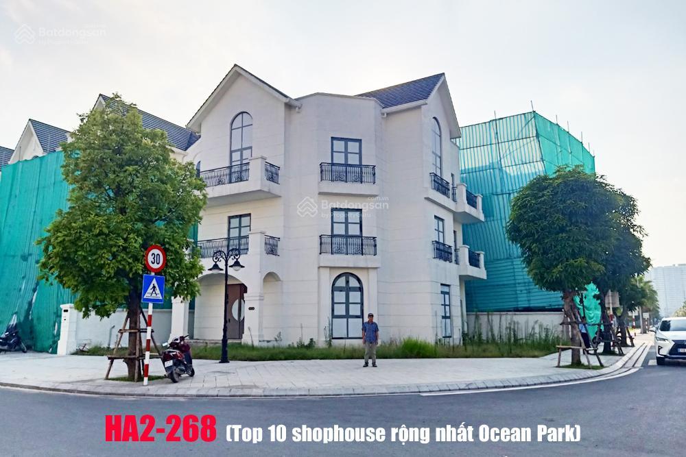 Cho thuê biệt thự mở trường mầm non tại vinhomes ocean park gia lâm