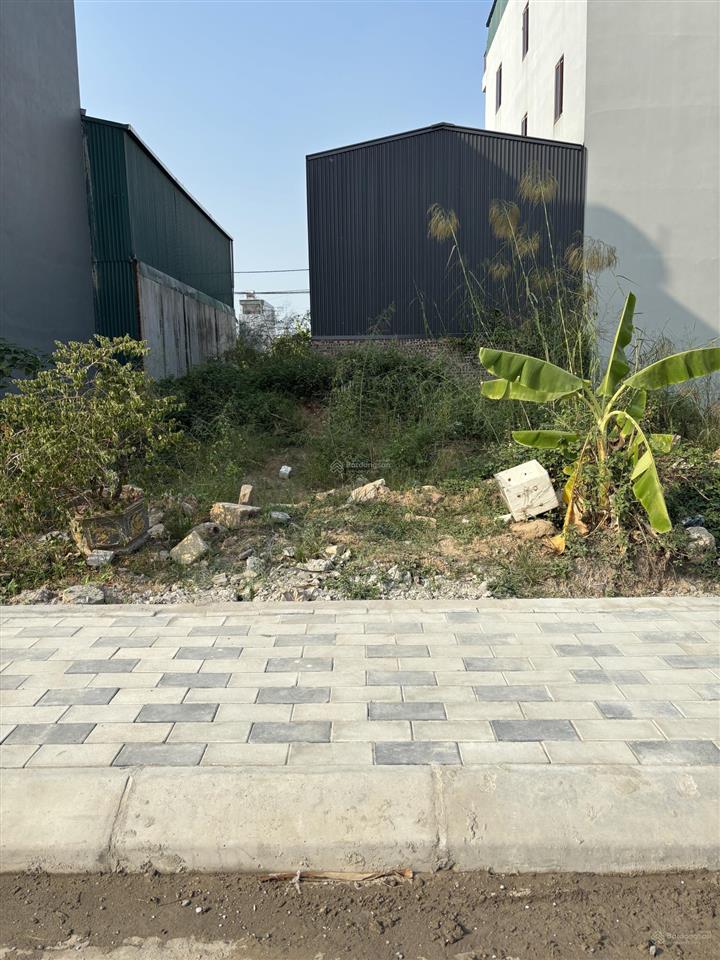 A/c mua đất dv lại yên không nên bỏ qua. cần bán nhanh chấp nhận bán giá hời tại lại yên  ngay