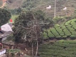 Chính chủ bán nhà vườn trang trại long cốc, thanh sơn, phú thọ