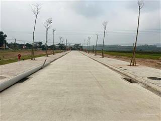 Bán đất đấu giá ô a09  tề lễ, tam nông, phú thọ