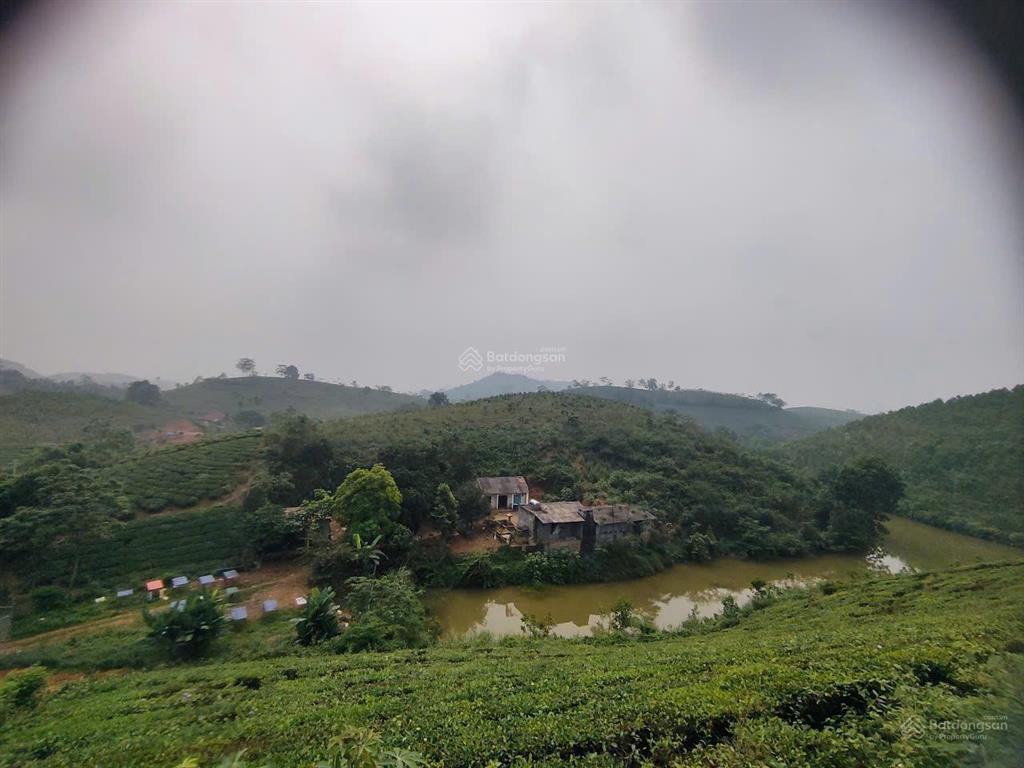 Bán trang trại siêu đẹp tại khu du lịch đồi trè siêu đẹp. view hồ điều hòa, lưng tựa đồi trè sổ đỏ.