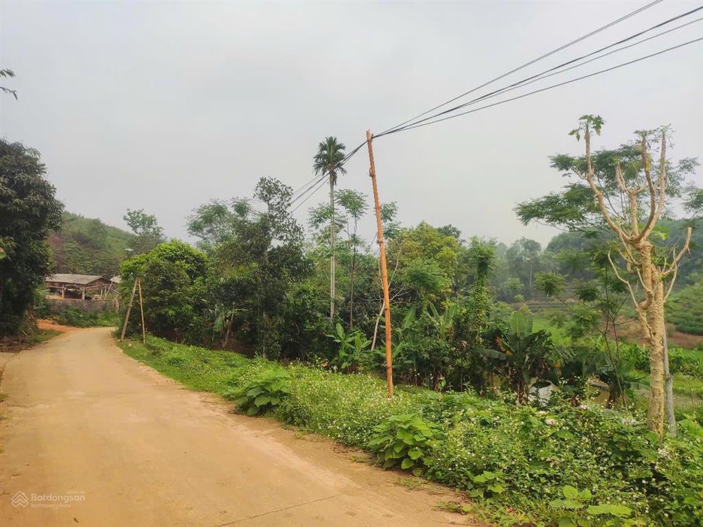 Bán trang trại siêu đẹp tại khu du lịch đồi trè siêu đẹp. view hồ điều hòa, lưng tựa đồi trè sổ đỏ.