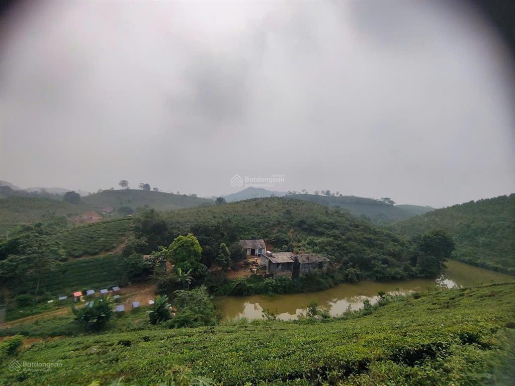 Bán trang trại siêu đẹp tại khu du lịch đồi trè siêu đẹp. view hồ điều hòa, lưng tựa đồi trè sổ đỏ.