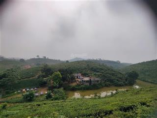 Bán trang trại siêu đẹp tại khu du lịch đồi trè siêu đẹp. view hồ điều hòa, lưng tựa đồi trè sổ đỏ.