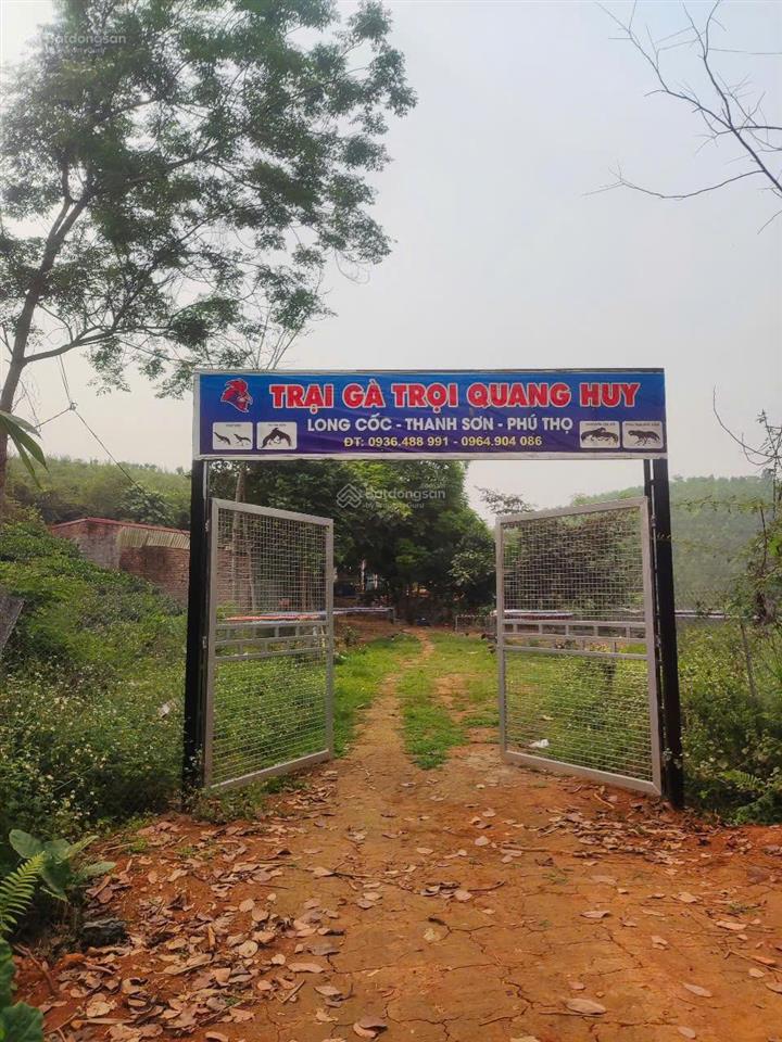 Bán trang trại siêu đẹp tại khu du lịch đồi trè siêu đẹp. view hồ điều hòa, lưng tựa đồi trè sổ đỏ.