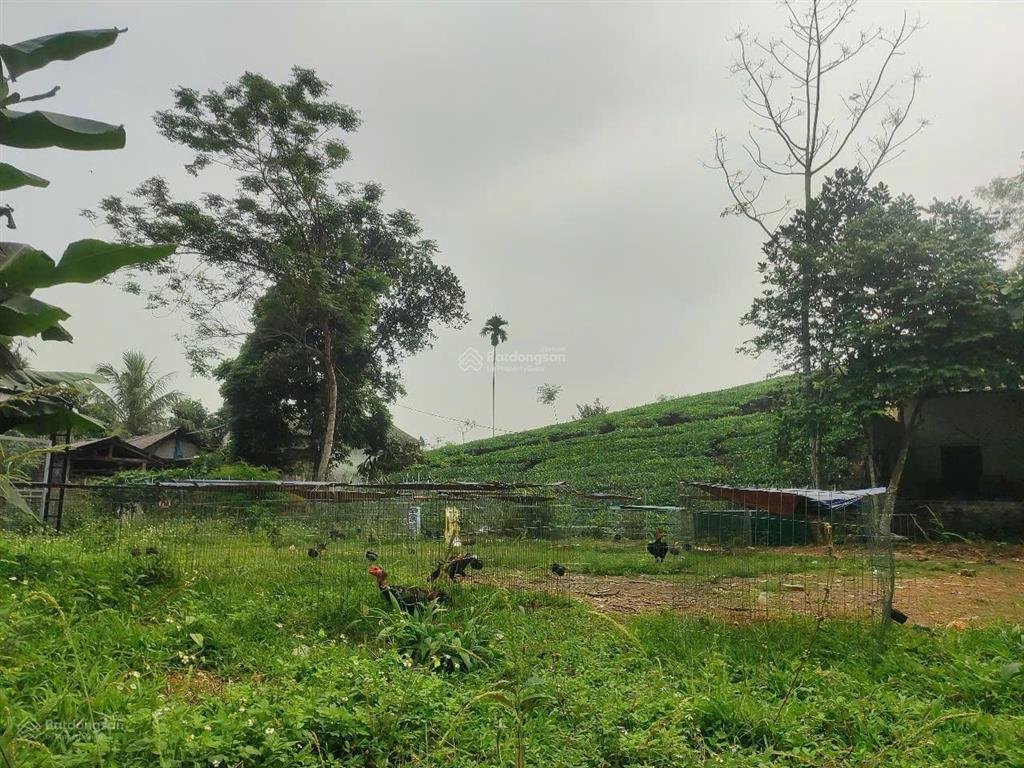 Bán trang trại siêu đẹp tại khu du lịch đồi trè siêu đẹp. view hồ điều hòa, lưng tựa đồi trè sổ đỏ.