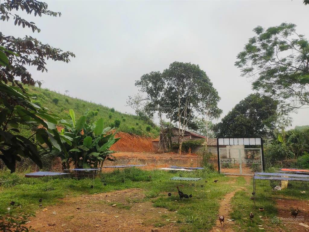 Bán trang trại siêu đẹp tại khu du lịch đồi trè siêu đẹp. view hồ điều hòa, lưng tựa đồi trè sổ đỏ.