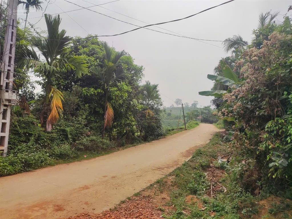 Bán trang trại siêu đẹp tại khu du lịch đồi trè siêu đẹp. view hồ điều hòa, lưng tựa đồi trè sổ đỏ.