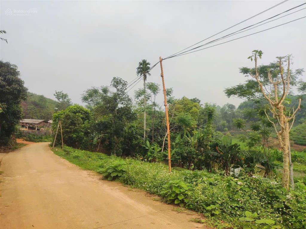 Bán trang trại siêu đẹp tại khu du lịch đồi trè siêu đẹp. view hồ điều hòa, lưng tựa đồi trè sổ đỏ.