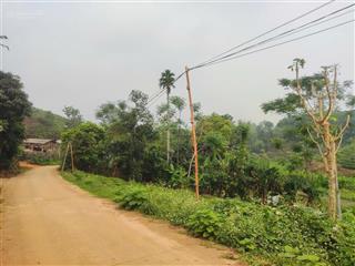 Bán trang trại siêu đẹp tại khu du lịch đồi trè siêu đẹp. view hồ điều hòa, lưng tựa đồi trè sổ đỏ.