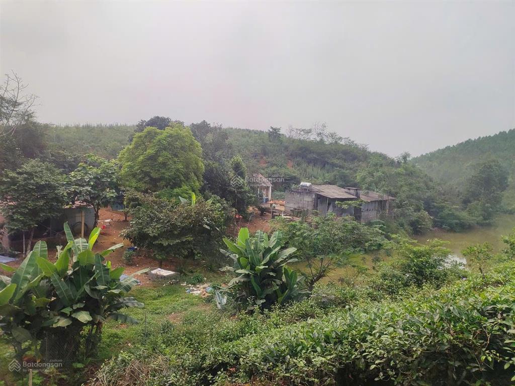 Bán trang trại siêu đẹp tại khu du lịch đồi trè siêu đẹp. view hồ điều hòa, lưng tựa đồi trè sổ đỏ.