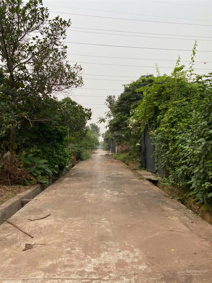 Bán 280m2 giá 2tr2/m2 đất nông nghiệp 50 năng, đường bê tông ô tô vào tận nhà sẵn vườn bưởi to