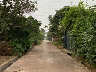 Bán 280m2 giá 2tr2/m2 đất nông nghiệp 50 năng, đường bê tông ô tô vào tận nhà sẵn vườn bưởi to