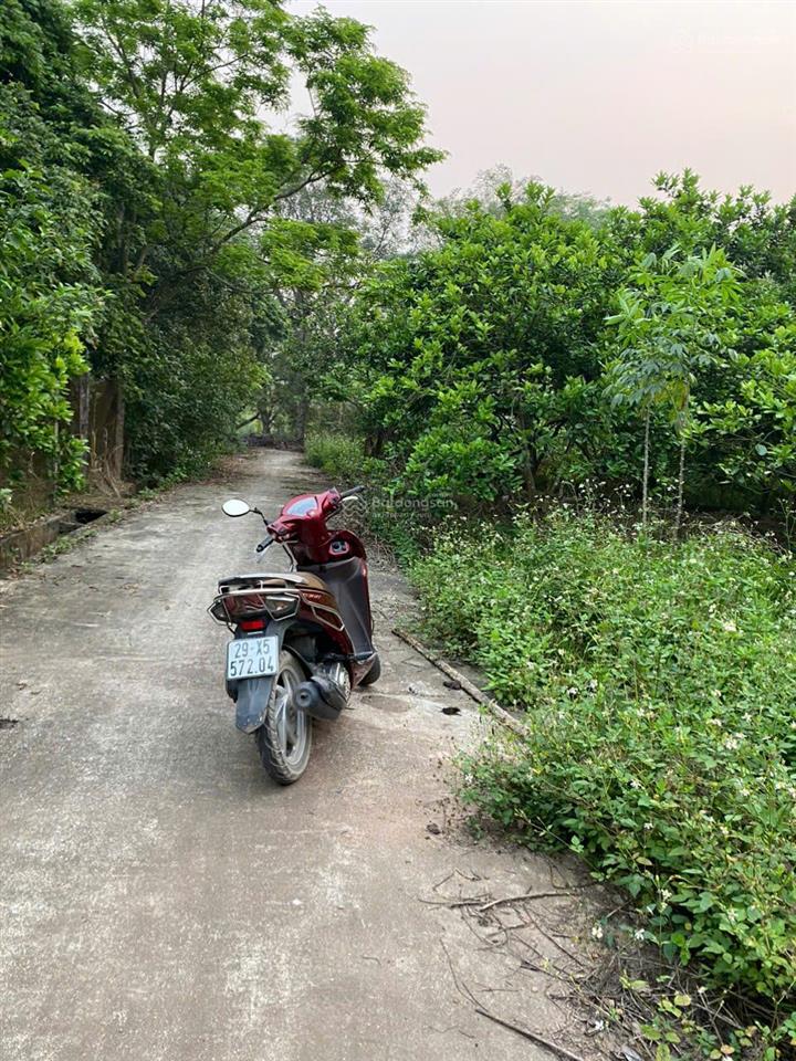 Bán 280m2 giá 2tr2/m2 đất nông nghiệp 50 năng, đường bê tông ô tô vào tận nhà sẵn vườn bưởi to