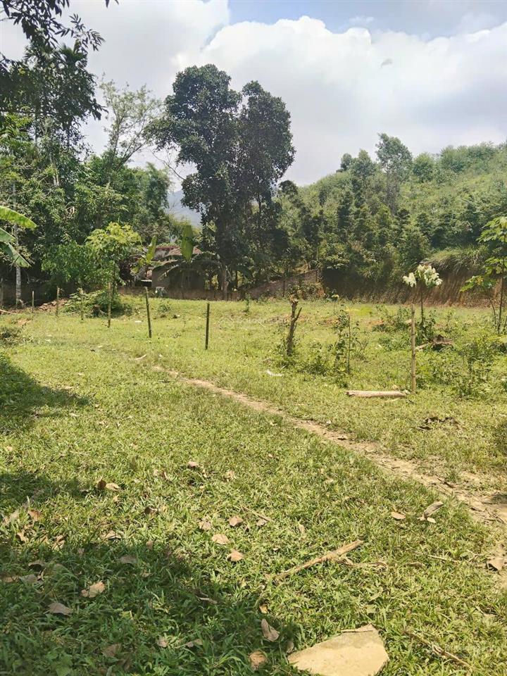 490tr ô đất 1.240m2 ô tô vào đất, thổ cư 250m2 còn lại là đất vườn.  0936 488 ***