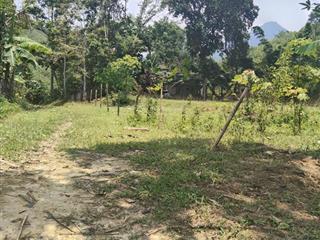 490tr ô đất 1.240m2 ô tô vào đất, thổ cư 250m2 còn lại là đất vườn.  0936 488 ***