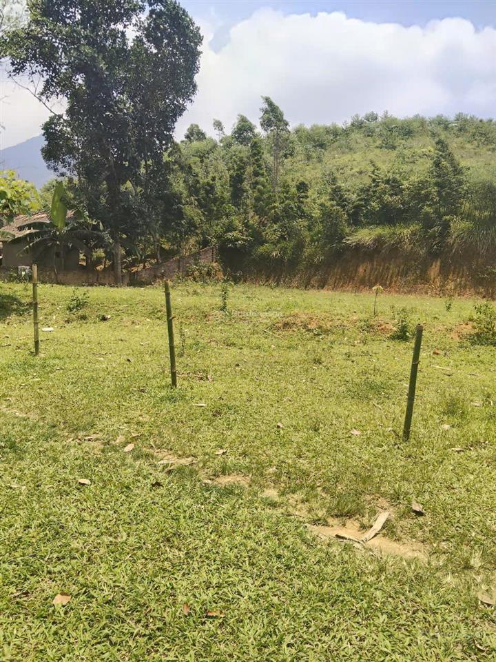 490tr ô đất 1.240m2 ô tô vào đất, thổ cư 250m2 còn lại là đất vườn.  0936 488 ***