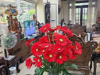 Chính chủ gửi bán btsl hoàn thiện siêu đẹp lõi trung tâm vinhomes thăng long