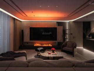 Bán cc đẹp xuất sắc 4pn 3wc tại vinhomes times city  park hill, 24 tỷ, 215m2