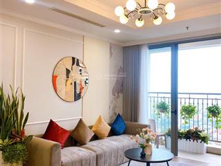 Bán gấp cc vinhomes times city  park hill, 9 tỷ, 80m2