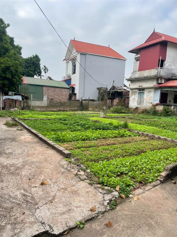 Bán đất đẹp tại kim thư, thanh oai, hà nội, 49m2, mt 5m lô góc , ô tô vào đất, kd, sổ đỏ giá 2.x ty