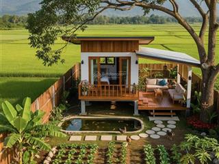 Bán đất full thổ cư khánh bình, khánh đông, khánh vĩnh, 218m² giá chỉ 265 triệu