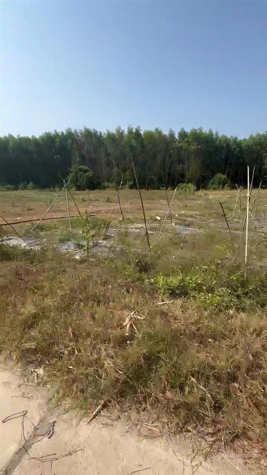 Đất vườn diên xuân cũ, đường nhựa, giá chỉ 199 triệu