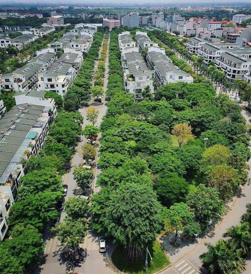 Gia đình cần bán gấp liền kề 100m2 ecopark thủy nguyên