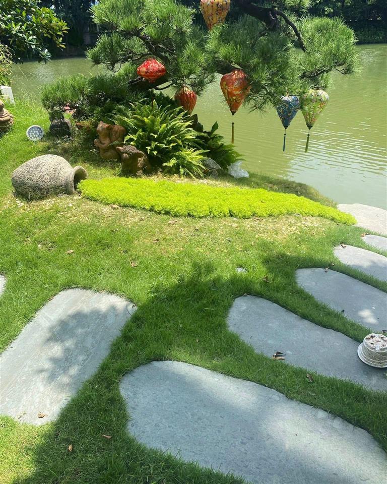 Bán nhanh hoa phượng 5, 250m, sông to nhất, công viên to nhất, trung tâm almaz vinhomes riverside