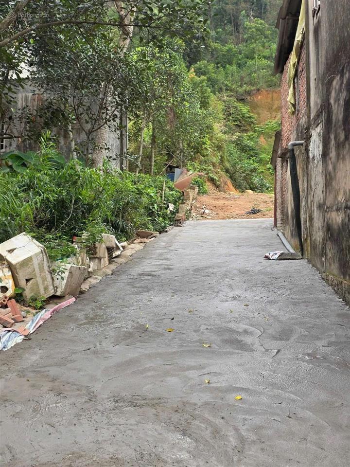 Bán 845m2 chè liên bão ngay dự án xuân cầu