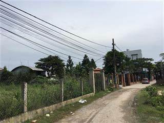 Bán đất 1446m2 tại võ văn vân, vĩnh lộc b, bình chánh, 15 tỷ vnd siêu hot chính chủ