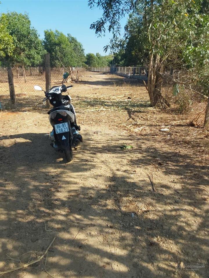 Bán đất thiện nghiệp  phan thiết, giá chỉ 1,6 tỷ