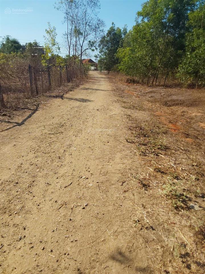Bán đất thiện nghiệp  phan thiết, giá chỉ 1,6 tỷ