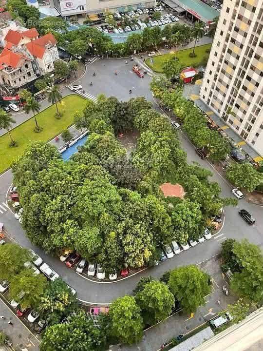 Bán căn hộ 63,2m hud3 tây nam linh đàm 2 ngủ 2 wc giá tham khảo tốt trong khu vực 5,x tỷ