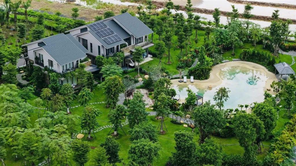 Bán biệt thự song lập rừng view công viên rừng bách 230m2 giá 18tỷ3( ck 10%)