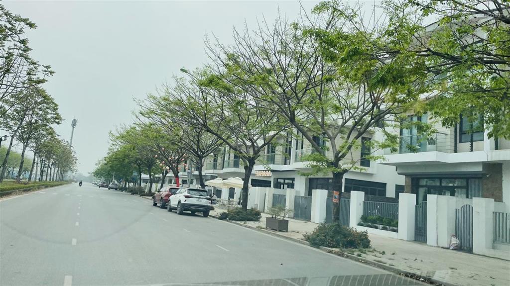 Biệt thự an khang đường 40m, giá 55 tỷ căn 200m