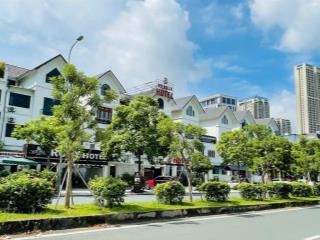 Biệt thự an khang căn góc 250m², vị trí đắc địa, đối diện chung cư, kinh doanh tốt, giá thỏa thuận