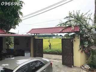 Cho thê đất ( gần 500m2) tại Thôn Thượng, Sóc Sơn Hà Nội, giá thỏa thuận