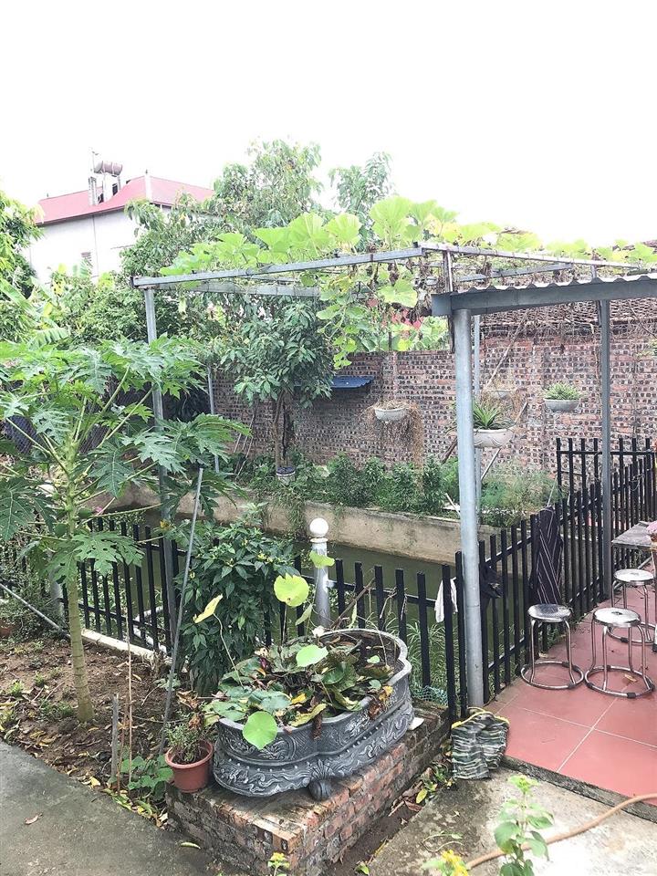 Cho thê đất ( gần 500m2) tại Thôn Thượng, Sóc Sơn Hà Nội, giá thỏa thuận