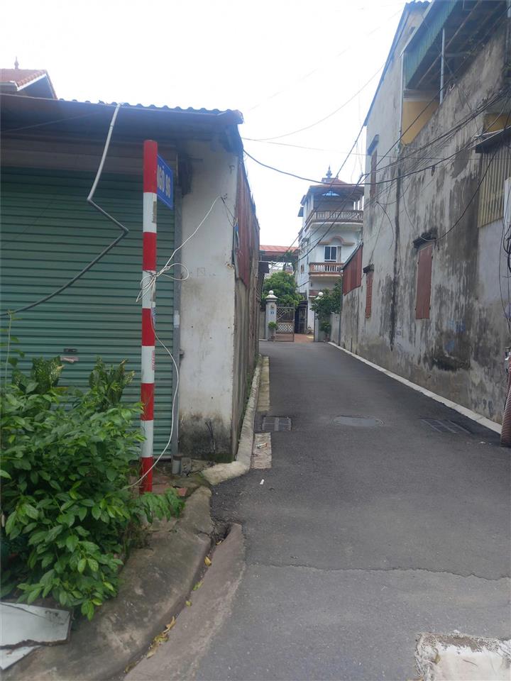 Cho thuê nhà khu B – Viện rau Trâu Quỳ
