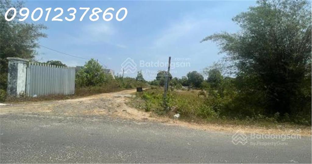 Đất 1.3ha Bình Châu, 45 tỷ, đón sóng đường ven biển và sân bay Long Thành