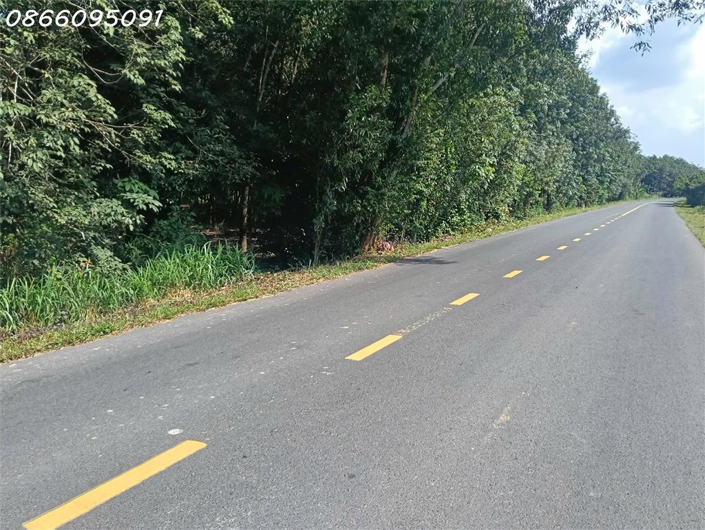Bán đất đường ĐT 749A, Long Hòa, Dầu Tiếng, Bình Dương, 7 triệu/m2, 1309m2 giá tốt