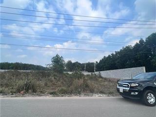 Chính chủ cần tiền bán gấp lô đất siêu đẹp 250m2 tại Tp. HCM mới, giá đầu tư